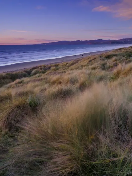 Framed Print : New Zealand, Christchurch, New South Brighton