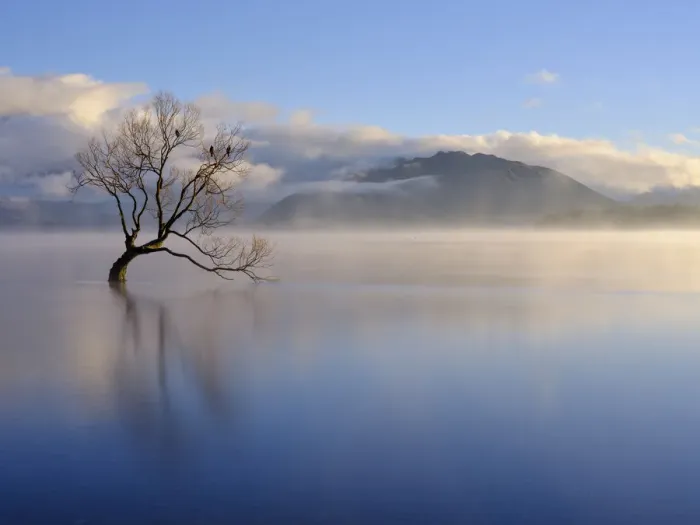 Framed Print : New Zealand, Otago, Lake Wanaka