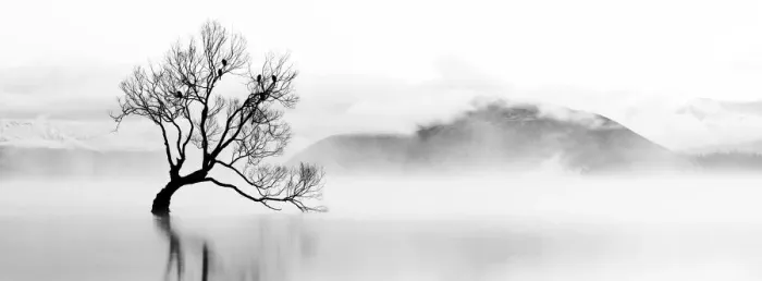 Framed Print : New Zealand, Otago, Lake Wanaka Framed Print : New Zealand, Otago, Lake Wanaka