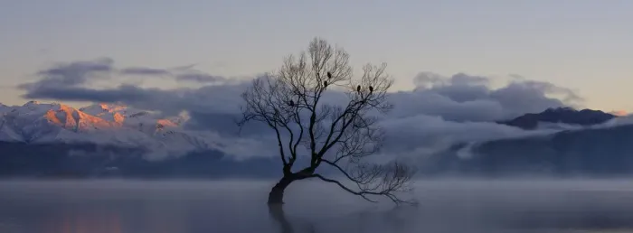 Framed Print : New Zealand, Otago, Lake Wanaka