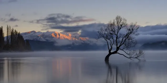 Framed Print : New Zealand, Otago, Lake Wanaka Framed Print : New Zealand, Otago, Lake Wanaka