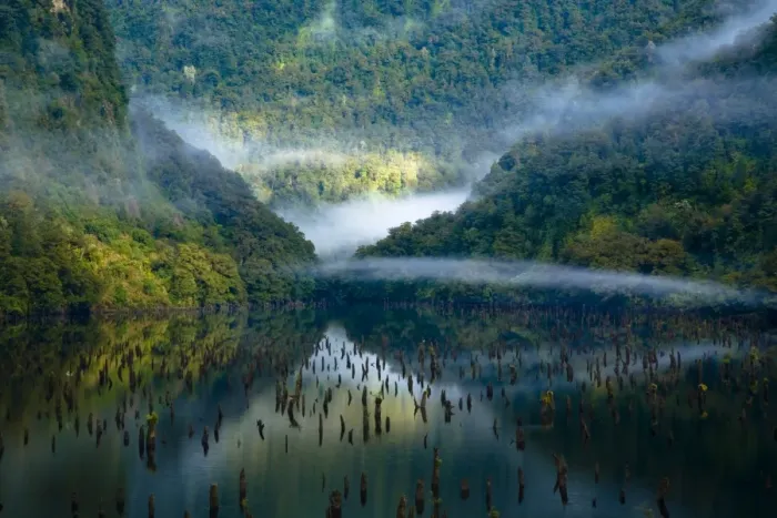 Framed Print : New Zealand, Southland, Fiordland National Park