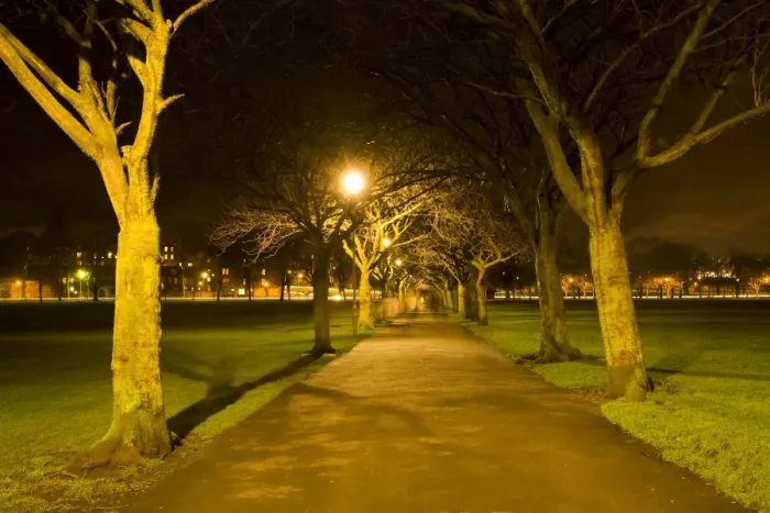 Framed Print : Scotland, Edinburgh, Edinburgh City. Public footpath running through an avenue of trees in the Meadows, a large expanse of open greenery found near the centre of