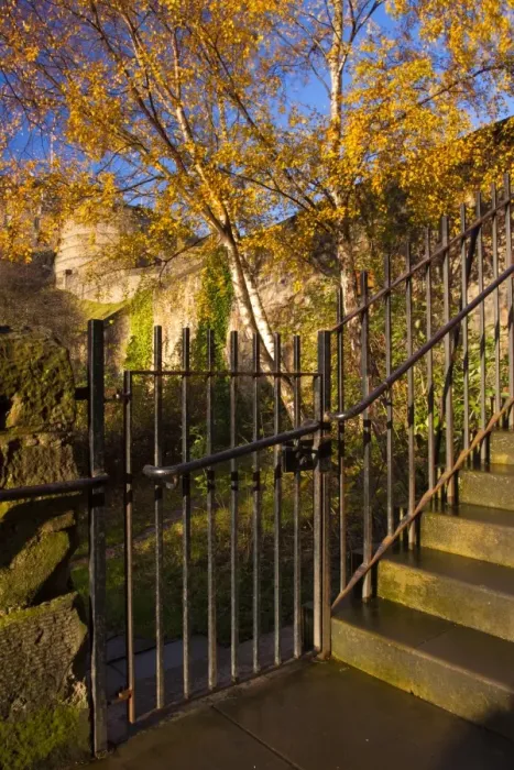 Framed Print : Scotland, Edinburgh, Johnston Terrace Wildlife Reserve. Johnston Terrace Wildlife Reserve