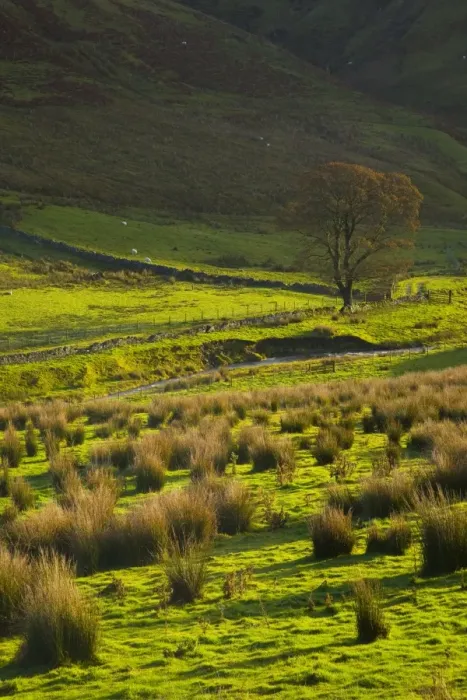 Framed Print : Scotland, Scottish Borders, Liddesdale
