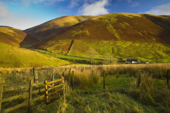Framed Print : Scotland, Scottish Borders, Liddesdale. Farm gate and undulating scenery near Liddesdale Framed Print : Scotland, Scottish Borders, Liddesdale. Farm gate and undulating scenery near Liddesdale