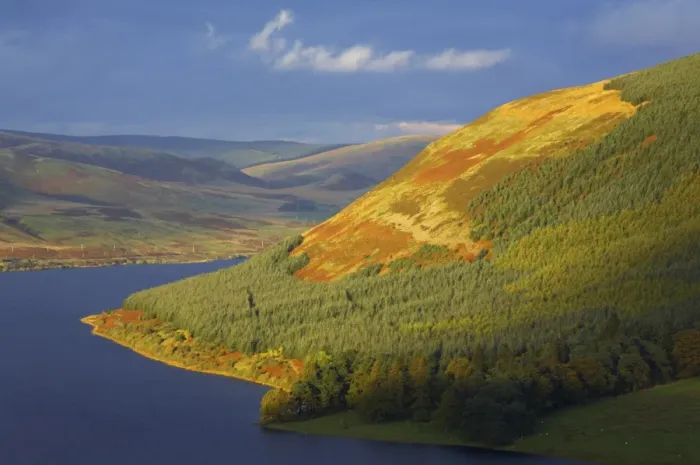 Framed Print : Scotland, Scottish Borders, St Marys Loch. Breaking light illuminates the autumn