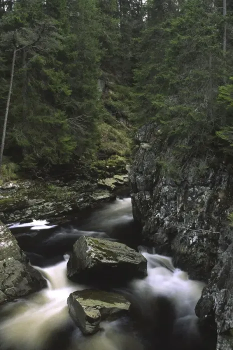 Framed Print : SCOTLAND, Scottish Highlands, Cainrgorm National Park. The fast flowing falls of the river pattack