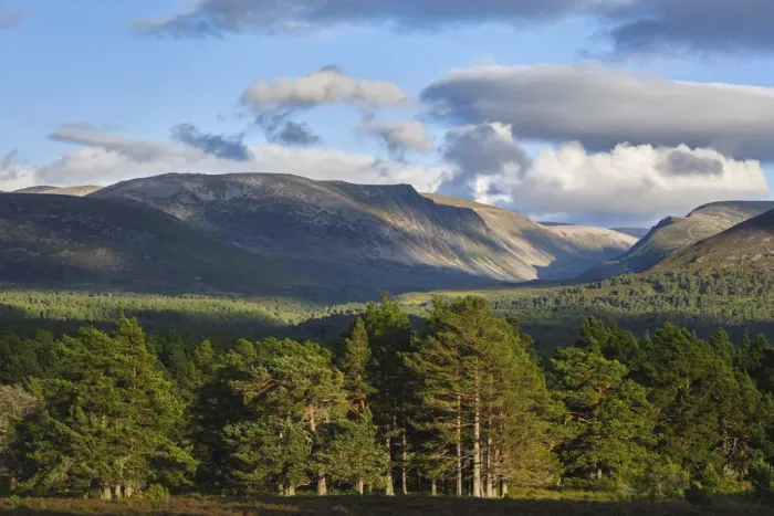 Framed Print : Scotland, Scottish Highlands, Cairngorms National Park