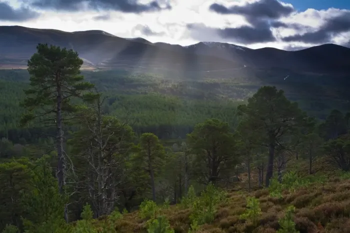 Framed Print : Scotland, Scottish Highlands, Cairngorms National Park. Scattered shafts of light above the Glenmore Forest Park and the Cairngorm