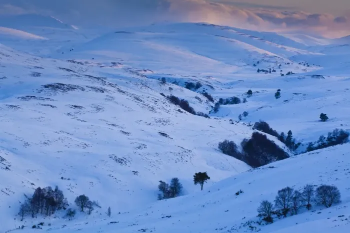 Framed Print : Scotland, Scottish Highlands, Cairngorms National Park