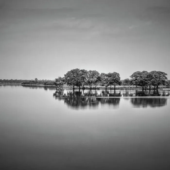 Framed Print : Sri Lanka, Ratnapura District, Udawalawa National Park