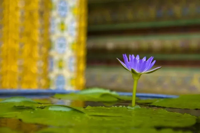 Framed Print : Thailand, Bangkok, The Grand Palace