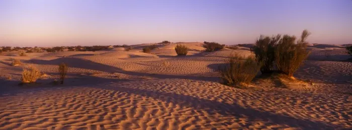 Framed Print : TUNISIA, Zaafrane, Sahara Desert Framed Print : TUNISIA, Zaafrane, Sahara Desert