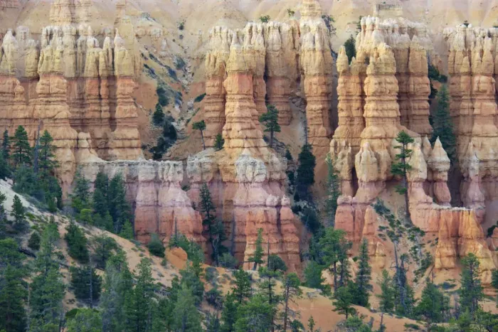 Framed Print : United States of America, Utah, Bryce Canyon National Park