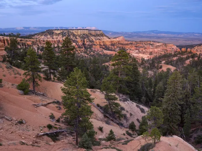 Framed Print : United States of America, Utah, Bryce Canyon National Park Framed Print : United States of America, Utah, Bryce Canyon National Park