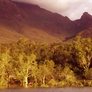 AUSTRALIA, Queensland, Hinchinbrook Island National Park
