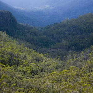 Cradle Mt - Lake St Clair National Park Print