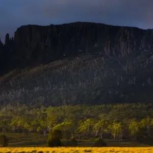 Cradle Mt - Lake St Clair National Park Print