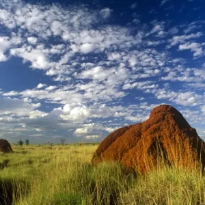 Karajini National Park Print: Red Termite Mounds in Outback Landscape