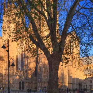 England, North Yorkshire, York City