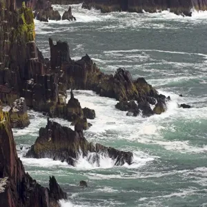 La condado de Irlanda del Sur, Condado de Kerry, Península de Dingle, Las olas golpean contra las impresionantes paredes escarpadas del Bahía de Dingle en el pueblo de Dingle