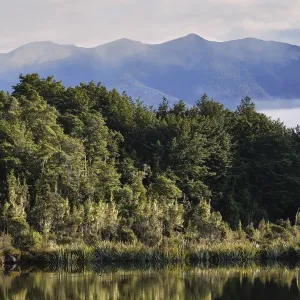 New Zealand, South Island, Fiordland National Park New Zealand, South Island, Fiordland National Park