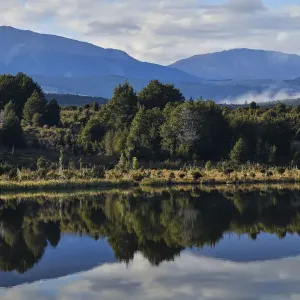 New Zealand, South Island, Fiordland National Park New Zealand, South Island, Fiordland National Park