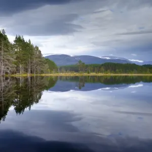 Scotland, Scottish Highlands, Cairngorms National Park