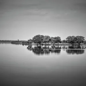 Udawalawa National Park Lake Print