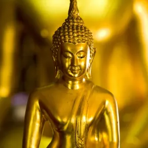 Gold Buddha Print, Bangkok Wat