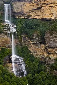 Australia Prints: Australia, New South Wales, Blue Mountains National Park. Katoomba Falls and native bush
