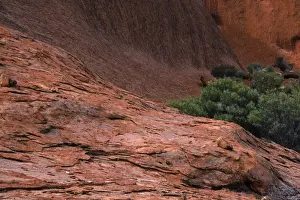 Australia Prints: AUSTRALIA, Northern Territory, Uluru National Park