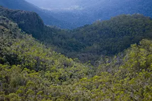 Australia Prints: Australia, Tasmania, Cradle Mt - Lake St Clair National Park