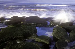 Tyne Book Prints: Crashing North Sea waves engulf the rock coastline of the Whitley Bay seafront