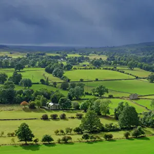 Natural Prints: England, County Durham, North Pennines National Landscape