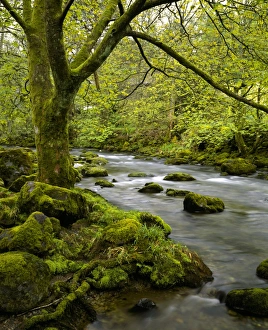 England, Cumbria, Lake District National Park