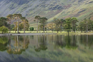 England, Cumbria, Lake District National Park