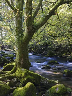 England, Cumbria, Lake District National Park