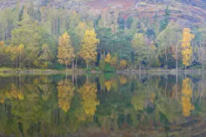 Fall Prints: England, Cumbria, Lake District National Park