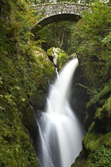 England, Cumbria, Lake District National Park. Aira Force is a powerful body of water near the shores