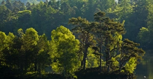 England, Cumbria, Lake District National Park