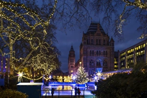England, London, The Royal Borough of Kensington and Chelsea, Natural History Museum