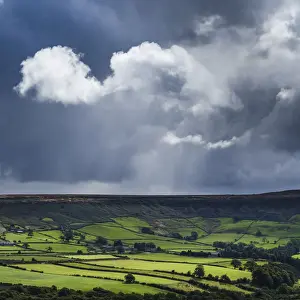 England, North Yorkshire, North York Moors National Park
