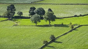 England, North Yorkshire, North York Moors National Park