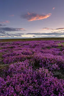 England, North Yorkshire, North York Moors National Park