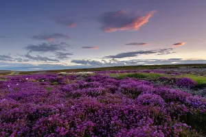 England, North Yorkshire, North York Moors National Park