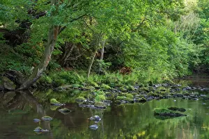England, North Yorkshire, North York Moors National Park