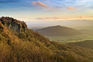 Forest Prints: England, North Yorkshire, North York Moors National Park