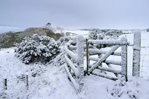 Cold Prints: England, North Yorkshire, North York Moors National Park